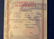ABARTH 500 “OPENING EDITION” KIT SS NUMERO 001 160 CH “GRIOGIO CAMPOVOLO” CLASSICHE !