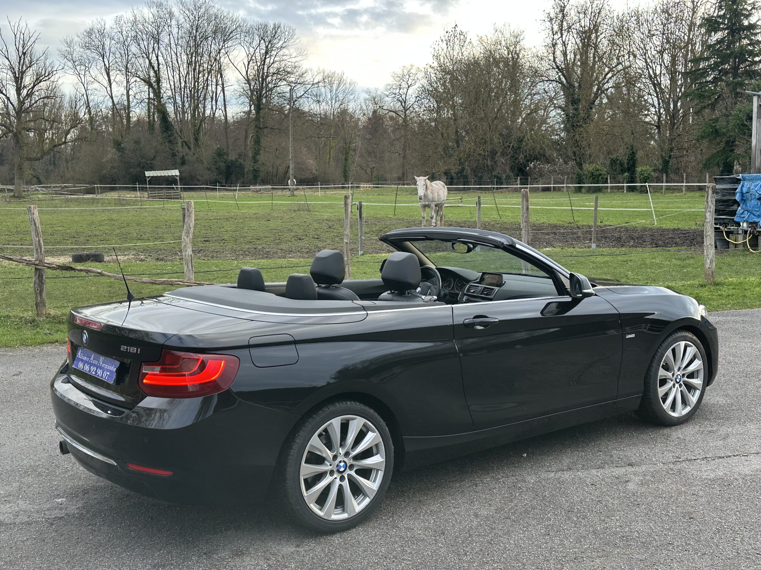 BMW 218 I CABRIOLET 136 CH NOIR CUIR NOIR BOITE SEPTRONIQUE 8 NOIR/CUIR NOIR