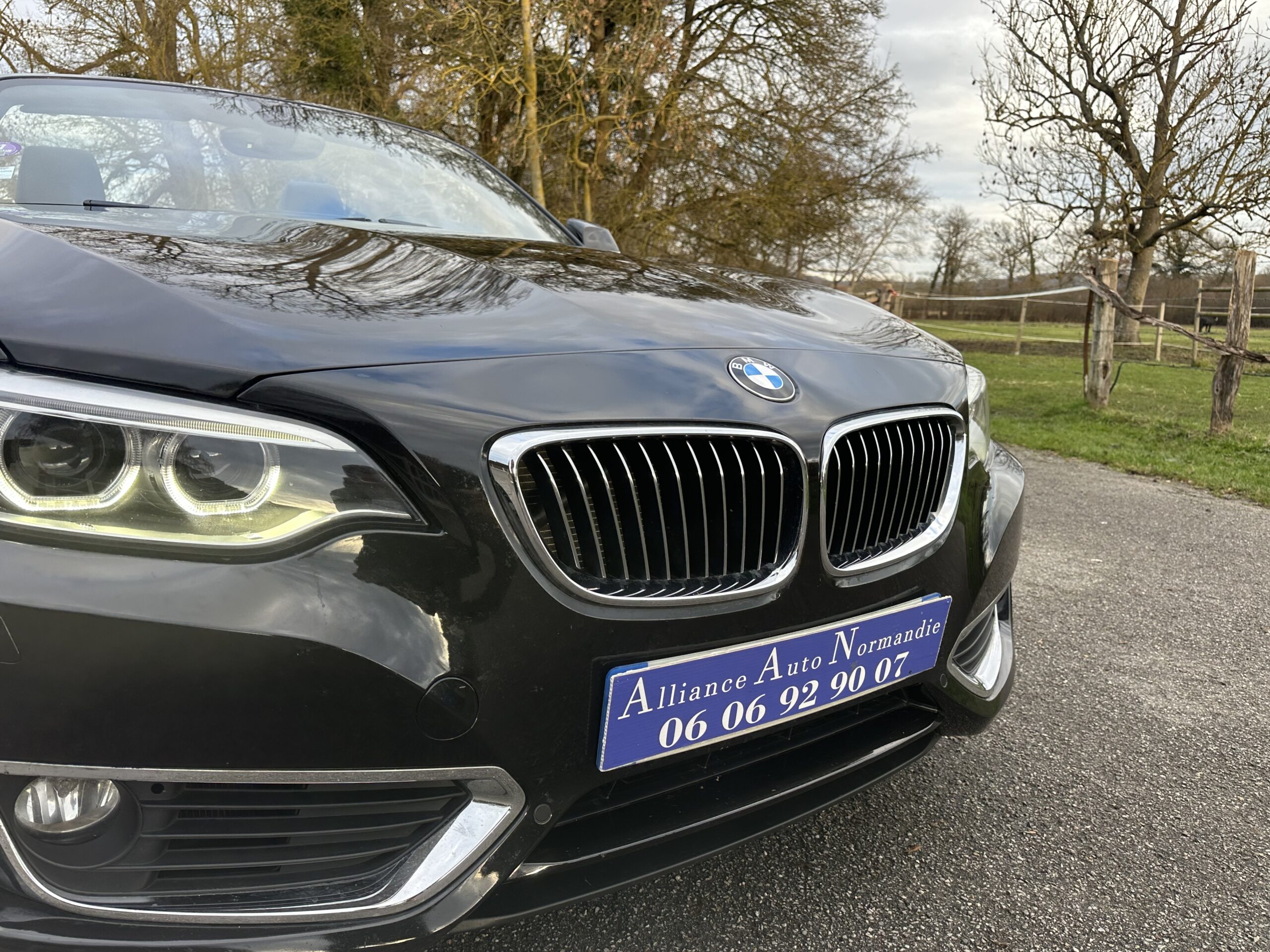 BMW 218 I CABRIOLET 136 CH NOIR CUIR NOIR BOITE SEPTRONIQUE 8 NOIR/CUIR NOIR